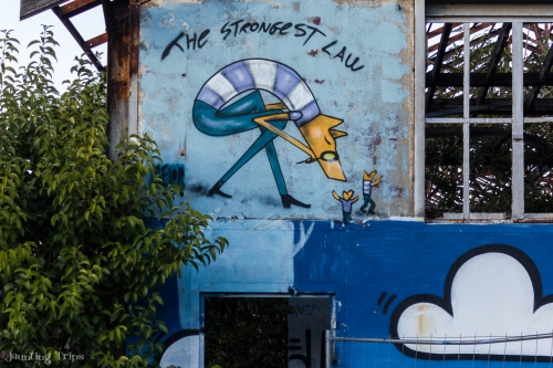 Graffiti by David Selor - the Yellow Fox