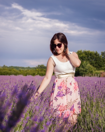 Oradea Lavender Fields